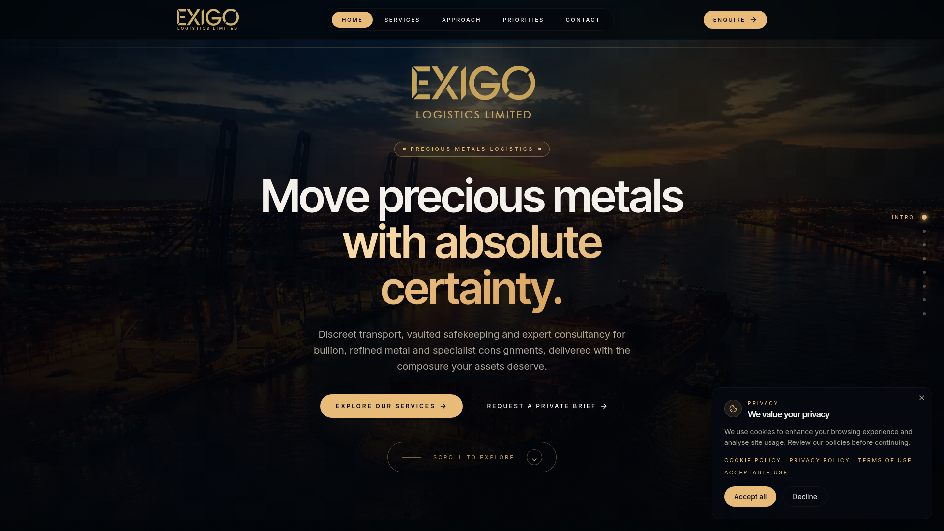 Exigo Africa homepage preview
